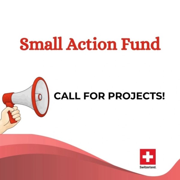 Программа грантов Small Action Funds 2026