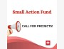 Программа грантов Small Action Funds 2026