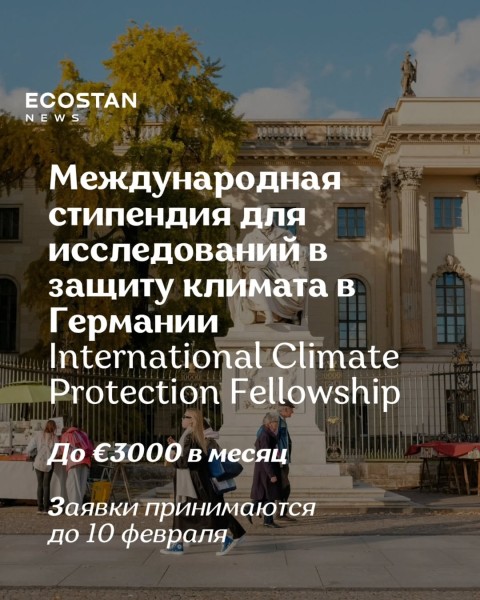 Программа International Climate Protection Fellowship 2026