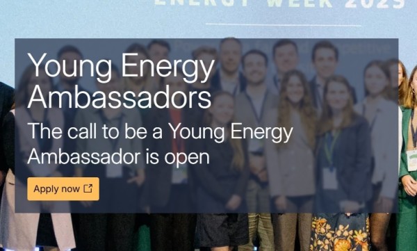 Программа Young Energy Ambassadors 2026