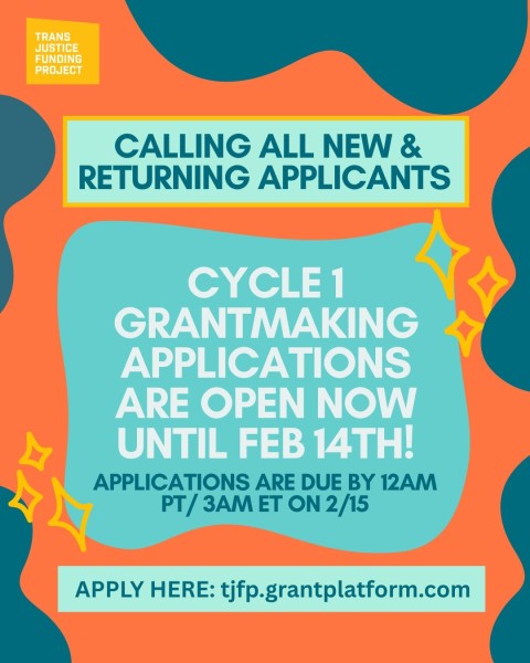Грант: Проект финансирования транс-правосудия 2026 | The Trans Justice Funding Project