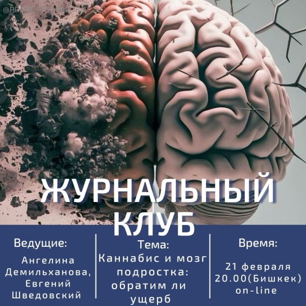  Journal club proplatform: каннабис и мозг подростка: обратим ли ущерб | Разбор свежего исследования 2025