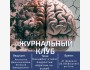  Journal club proplatform: каннабис и мозг подростка: обратим ли ущерб | Разбор свежего исследования 2025