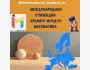 Стипендиальная программа Erasmus Mundus в области математики | InterMaths 