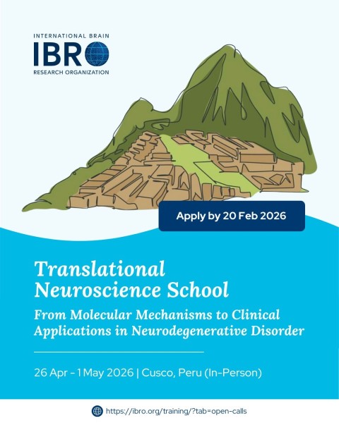 Школа трансляционной нейронауки 2026 — для начинающих исследователей из Латинской Америки