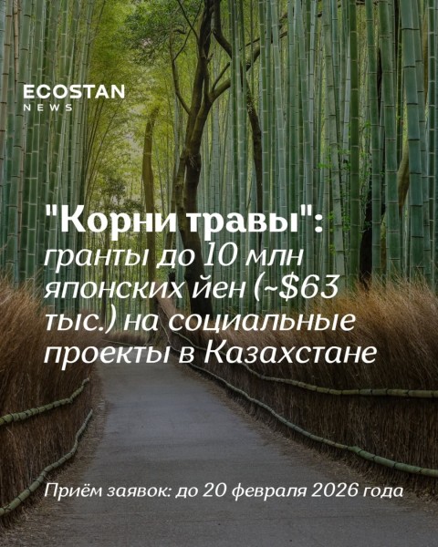 Грантовая программа KUSANONE («Корни травы») — поддержка социальных проектов и человеческой безопасности