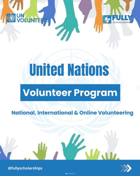 Программа волонтерства United Nations Volunteer Program 2026