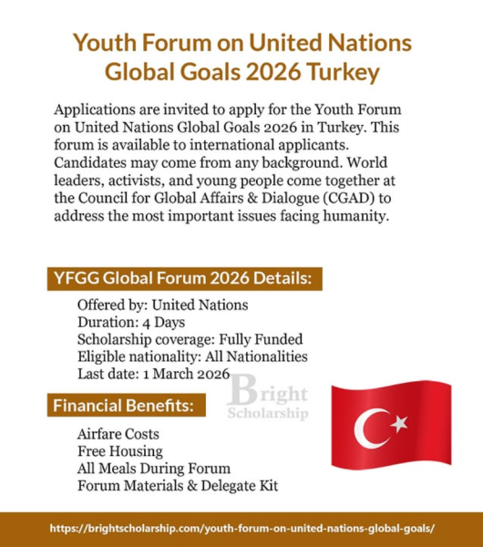 Программа Youth Forum on United Nations Global Goals 2026 в Турции