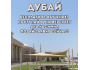 Прием заявок в Университет Аль-Касимия в ОАЭ