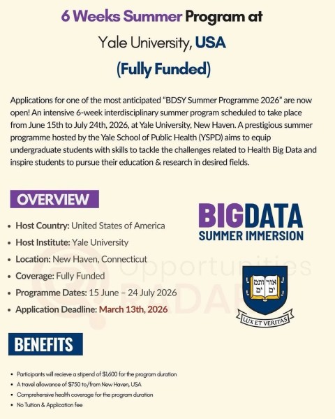 Летняя программа стипендий BDSY 2026 в Йельском университете в США