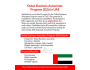 Программа Dubai Business Associates Program 2026 в ОАЭ