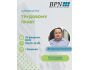 Семинар по трудовому праву от BPN