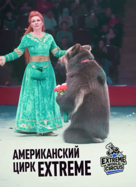 Американский цирк «ЭКСТРИМ» в Бишкеке