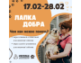 Благотворительная Акция «Лапка Добра»