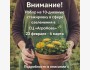 10-дневная стажировка в сфере озеленения в компании «AgroNova» | 23.02.2026