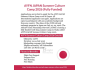 Программа AYFN JAPAN Summer Culture Camp 2026 в Японии