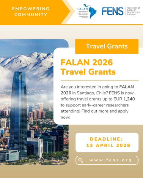 Программа грантов FALAN2026 Travel Grants