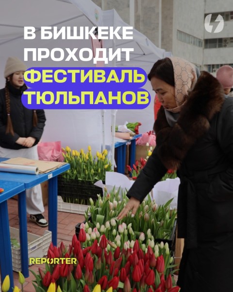 Фестиваль тюльпанов на площади Ала-Тоо