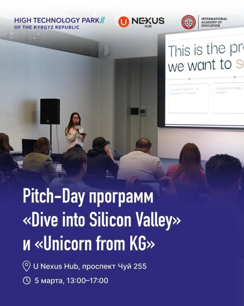 Pitch-Day в рамках программ «Dive into Silicon Valley» и «Unicorn from KG»