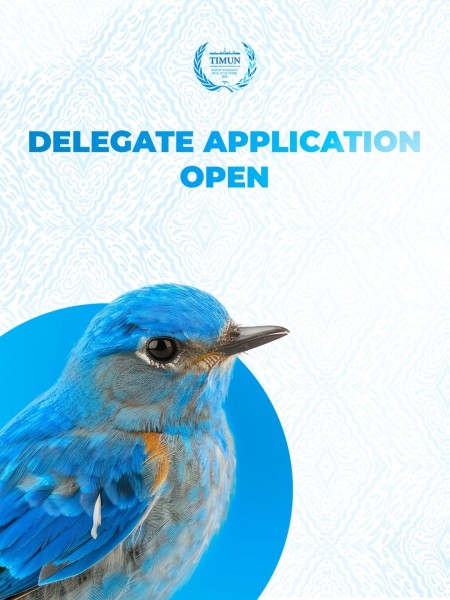 TIMUN 2026: международная конференция Модели ООН в Центральной Азии | 29.03.2026