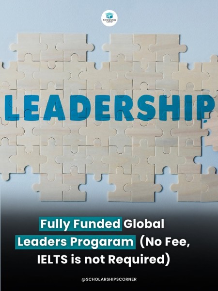 McCain Global Leaders Program 2026: годовая международная программа лидерства с полностью финансируемым участием