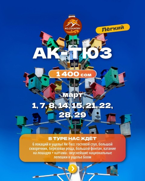 Прогулочный тур по ущелью Ак-Тюз + 6 локаций | 22.03.2026