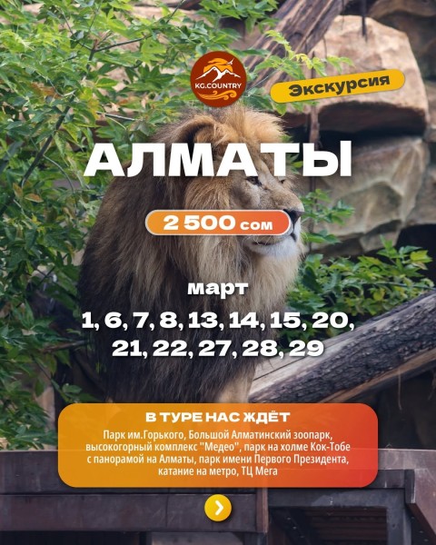 Тур в город Алматы - едем в Казахстан на один день! | 28.03.2026