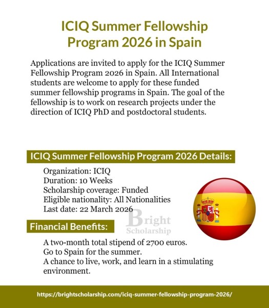 Программа стипендий ICIQ Summer Fellowship Program 2026 в Испании