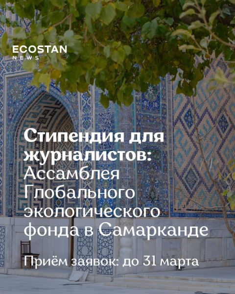 Стипендия для журналистов для освещения 8-й Ассамблеи Глобального экологического фонда (GEF)