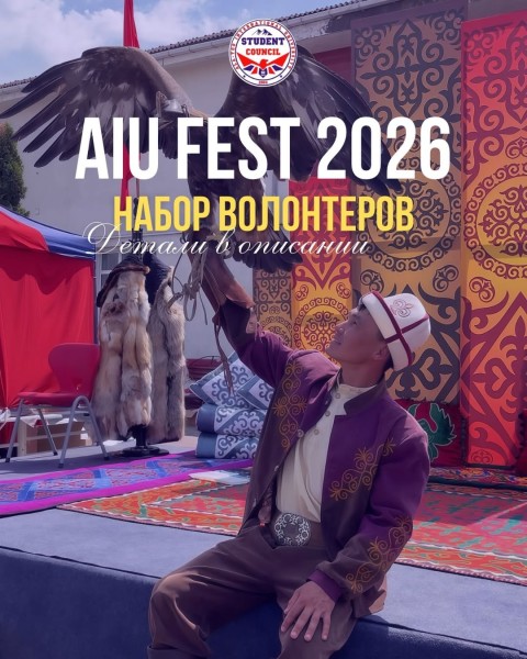 Программа волонтерства на AIU FEST
