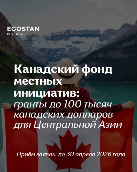 Программа грантов Canada Fund for Local Initiatives (CFLI) 2026