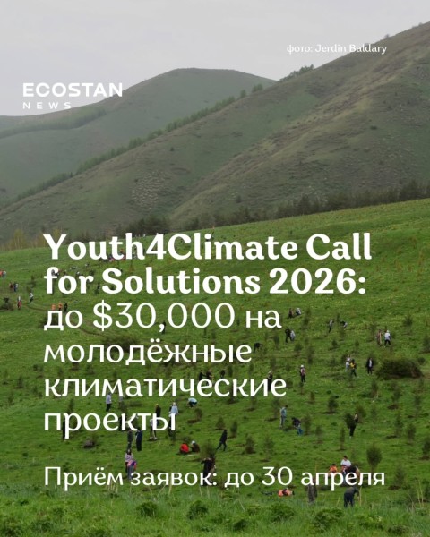 Программа грантов Youth4Climate Call for Solutions 2026