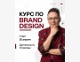 Курс по брендингу и айдентике в Бишкеке