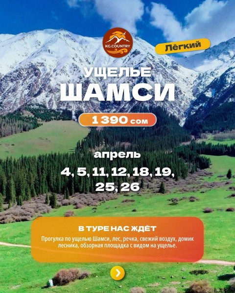 Тур в ущелье Шамси. Весенняя прогулка вдоль реки и леса | Легкий тур | 11 апреля 2026