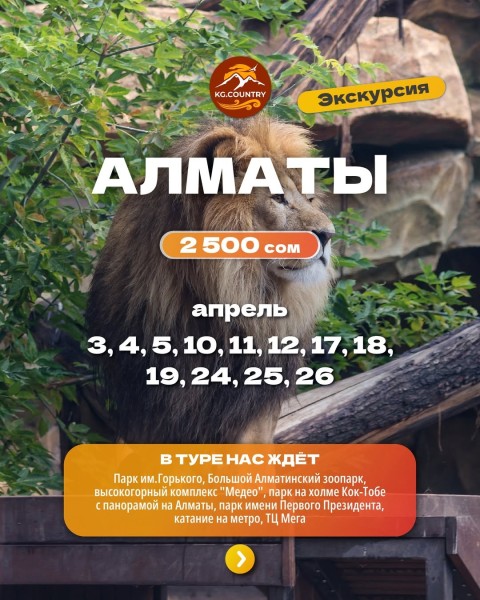 Тур в город Алматы - поездка в Казахстан на один день! | Выезд с Бишкека 17 апреля