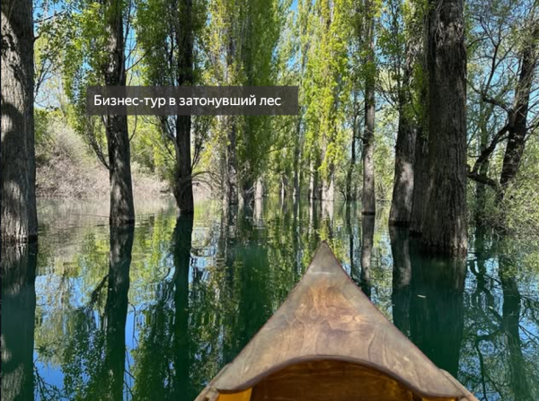 Бизнес-тур в затонувший лес