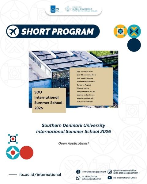 Программа SDU International Summer School 2026 в Дании