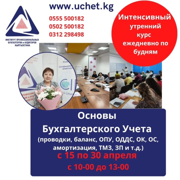 Основы бухгалтерского учета: практический курс с нуля