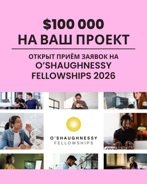 Программа стипендий O’Shaughnessy Fellowships 2026