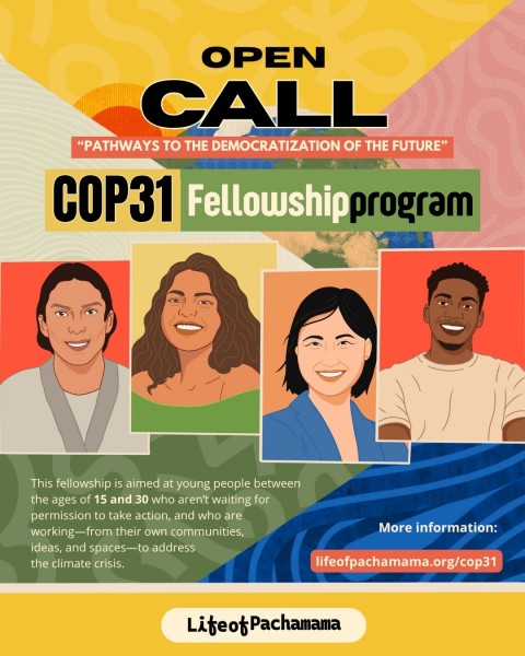 Программа стипендий The Life of Pachamama Scholarships for COP31 2026