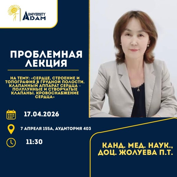 Проблемная лекция: «Сердце, строение и топография в грудной полости. Клапанный аппарат сердца – полулунные и створчатые клапаны. Кровоснабжение сердца»