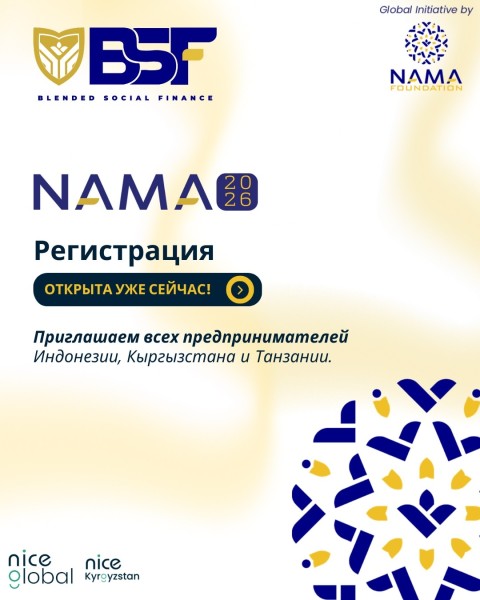 Программа Смешенного социального финансирования