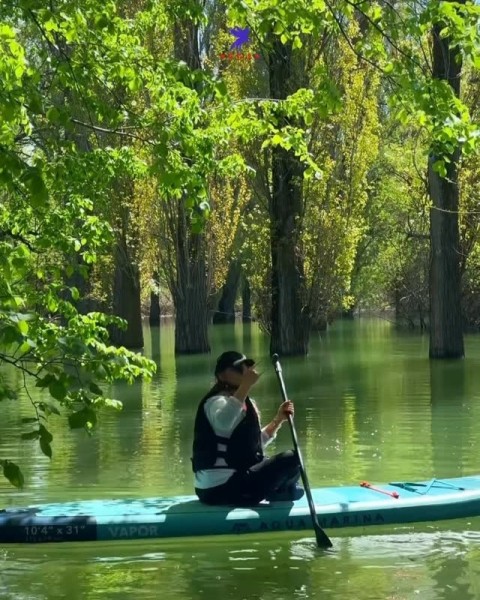 Тур на Sup-бордах в затонувший лес | 25 апреля 2026