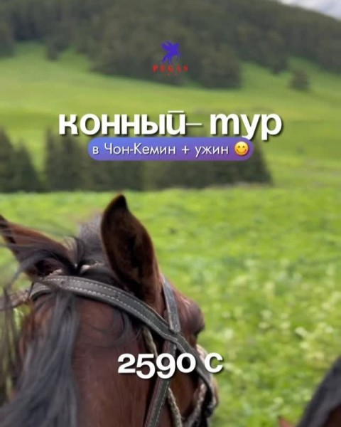 Конный тур в Чон-Кемине + ужин | 24 апреля 2026