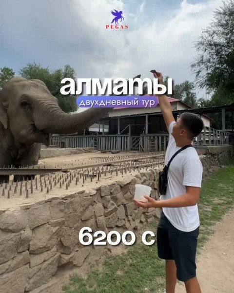 Двухдневный тур в Алматы с Pegas Trip | 25 апреля 2026