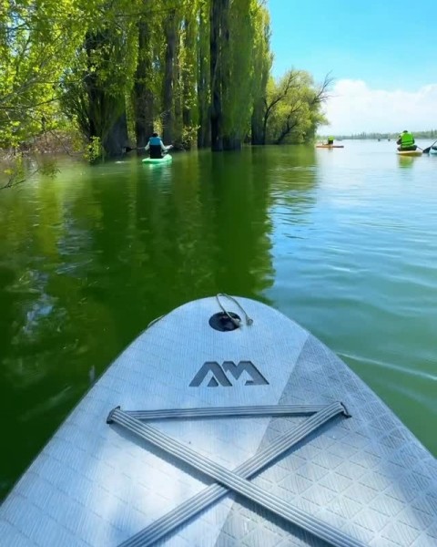 Катание на SUP-бордах по затонувшему лесу | 26 апреля 2026