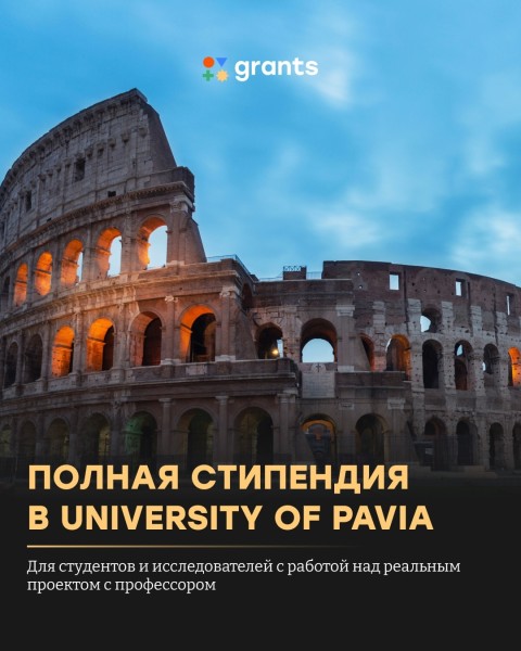 Программа стипендий University of Pavia 2026 в Италии
