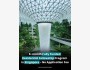Программа Residential Fellowship 2026 в Сингапуре