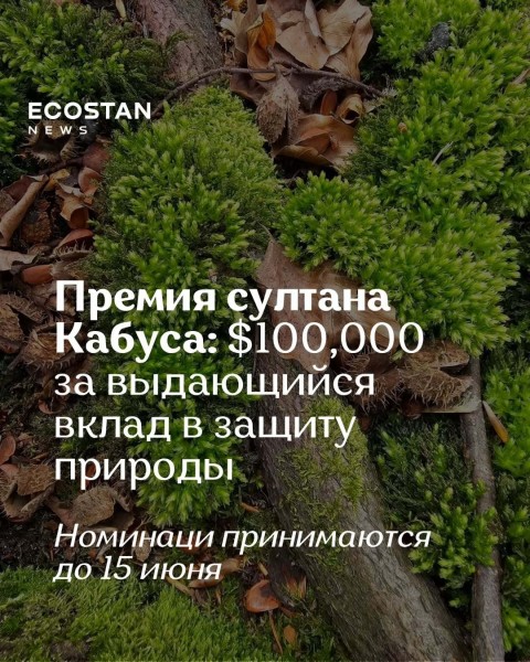 Премия султана Кабуса