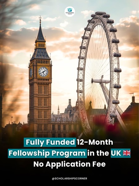 Программа Chevening British Library Fellowships 2027 в Великобритании